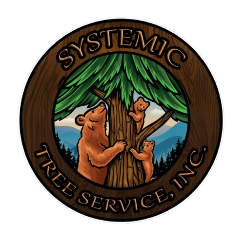 SystemicTree-Service-Transparent-Logo-D-Sanborn-120624-removebg-preview